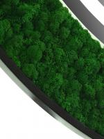 Зеркало Континент Forest LED D80x80 см с натуральным мхом